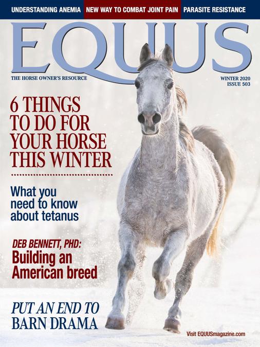 Equus - Print Magazine