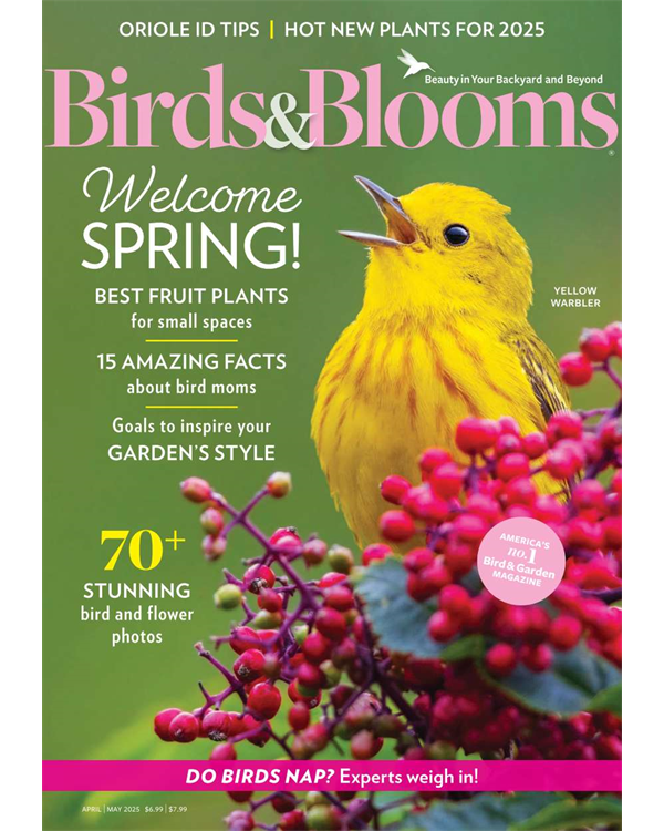 Birds & Blooms
