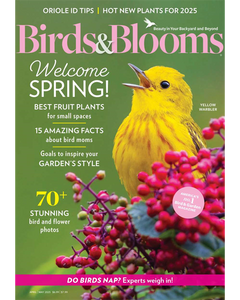 Birds & Blooms