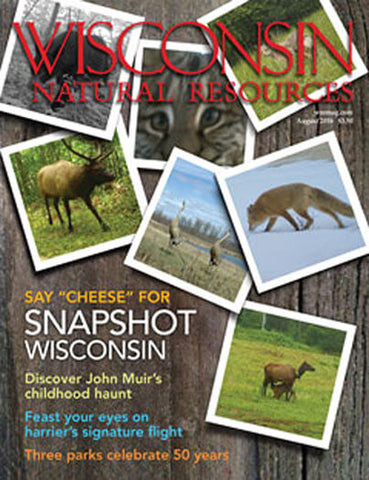 Wisconsin Natural Resources - Print Magazine