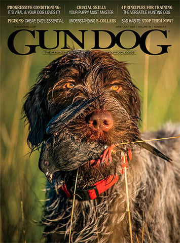 Gun Dog - Print Magazine
