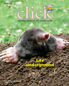 Click - Print Magazine