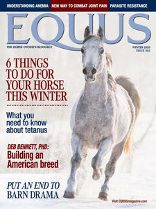 Equus - Print Magazine